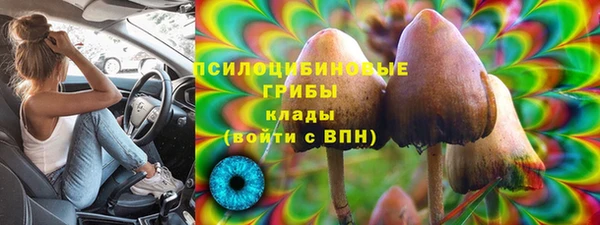 амф Аркадак