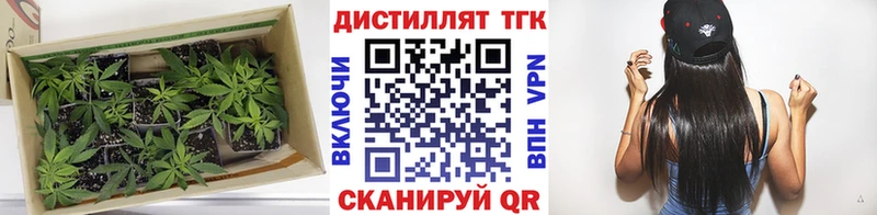 ТГК THC oil  сколько стоит  Сортавала 