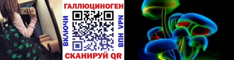 это как зайти  Сортавала  Галлюциногенные грибы Cubensis 